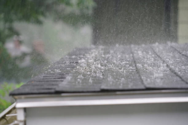 Best Roof Moss and Algae Removal  in Laflin, PA